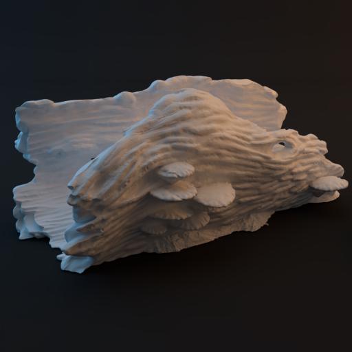 Fallen Trees - Road Through Gloodwood (Conquest Creations)